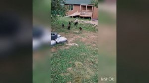 Мальчишки🤎🧡🖤