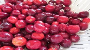 Морс из замороженной клюквы