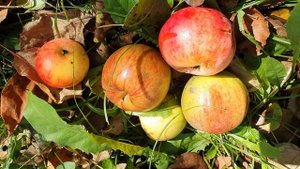 И вновь остатки роскоши