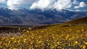 Климатические рекорды