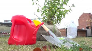 Зарыбление озера и новые деревья. В Нефтеюганском районе подвели итоги акции «Спасти и сохранить»