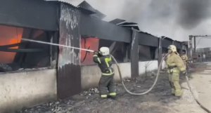 В Тольятти огнеборцы ликвидируют крупный пожар