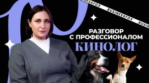 Сколько времени нужно, чтобы собака выучила команды? И что еще нужно знать об этих животных?