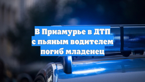 В Приамурье в ДТП с пьяным водителем погиб младенец