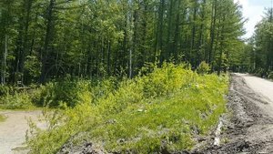 Вид на Санту