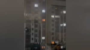 «Аномальную» микроволновку обнаружили в Алматы