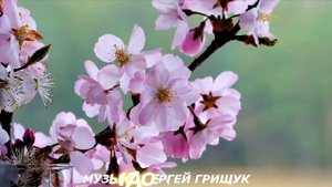Музыка Для Души ►ВСЁ НАЧИНАЕТСЯ С ЛЮБВИ ►Музыка Сергей Грищук