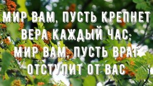 Мир вам братья, сестры - минус мой 4
