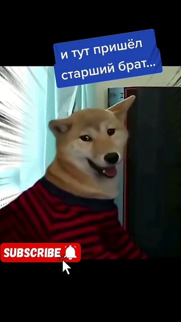 #shortsclip #shortscraft #youtube #youtuber #subscribe #юмор #humor #humormemes смотреть онлайн