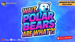Подождите… Белые медведи — это ЧТО?!