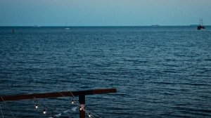 Echo Of Summer. Electronic Music Festival GELENWOOD 30.08.2025