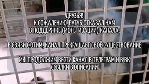 Последнее видео. Ссылки в описании