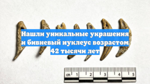 Нашли уникальные украшения и бивневый нуклеус возрастом 42 тысячи лет