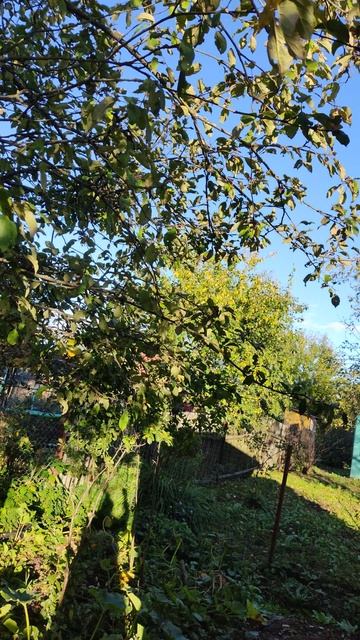 24-09-2025 осенние моменты