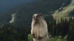 1000000085.mp4