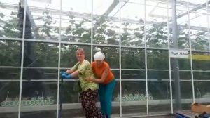 1fd0ace7-1bfd-4a73-a946-dd5884f3d6dd-1_all_12914.mp4