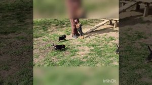 Наг прекрасный Локки🖤🧡🖤