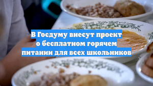 В Госдуму внесут проект о бесплатном горячем питании для всех школьников