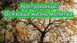 Арктурианцы. Вся ваша жизнь молитва 15.07.2025г    (84 Послание)