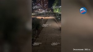 На грани эпидемии: жители «Саларьево парка» боятся за детей из-за нашествия крыс