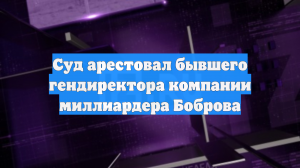 Суд арестовал бывшего гендиректора компании миллиардера Боброва