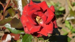 22==09==2025 ПВН КМР (177)