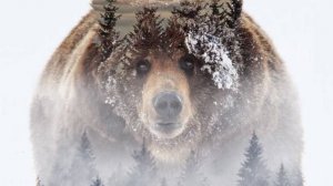 Говорим про Асгард 26.09.25 !!!( Vikings War of Clans)