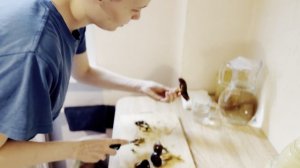 Суп-пюре, ножи и воспоминания… А в конце важный разговор о питании