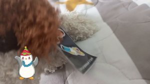 Новости нашего дома!