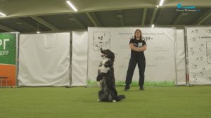 Петербургские хвостатые танцоры стали сильнейшими на чемпионате Европы в Швейцарии