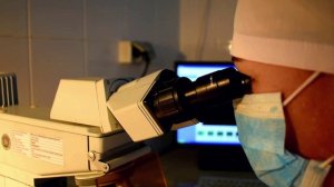 28 сентября во всем мире отмечается День борьбы с бешенством