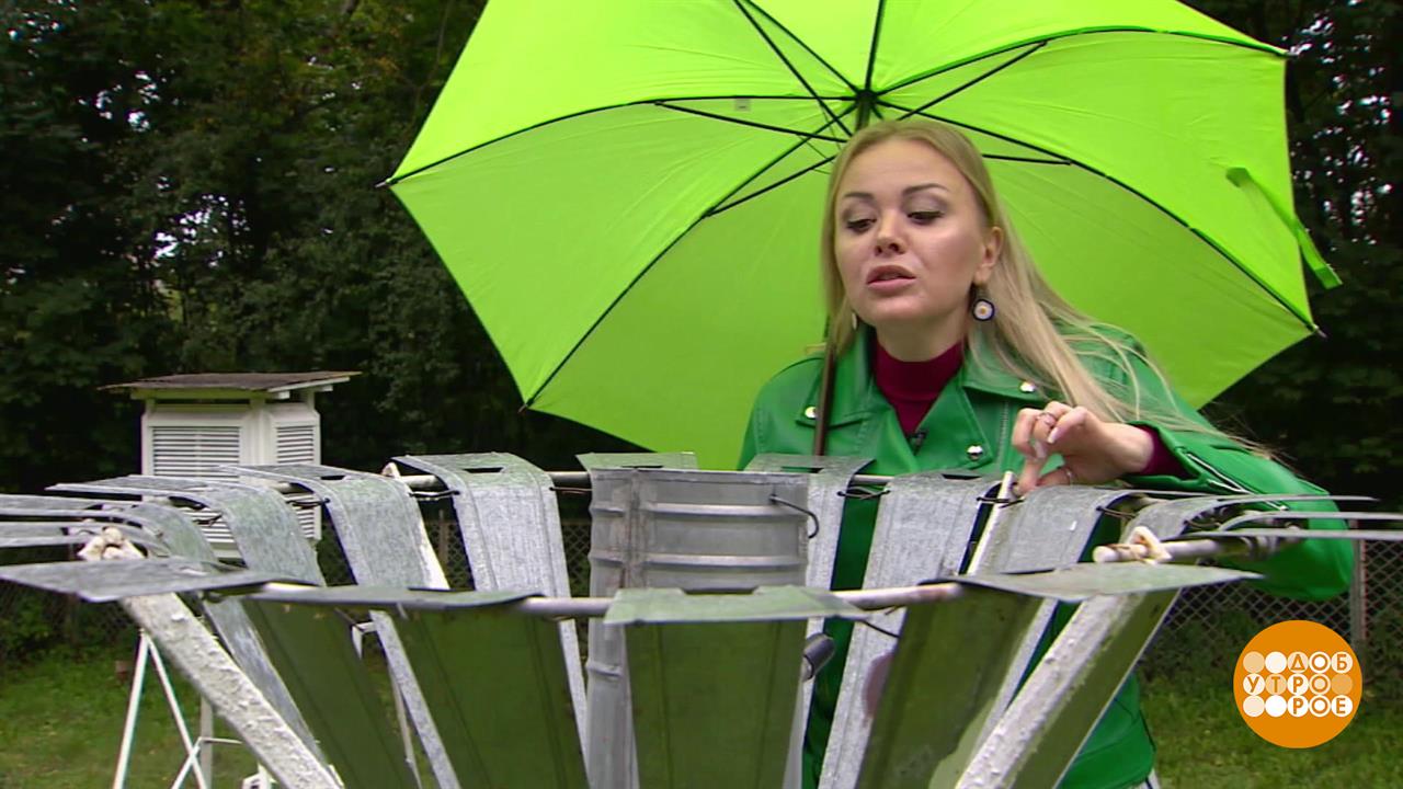 Как считают дождь. Доброе утро. Фрагмент выпуска от 26.09.2025