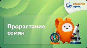Прорастание семян. Видеоурок по биологии 6 класс