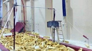 Гимнаст из Индонезии умер после полученной на сборах в Пензе травмы шеи