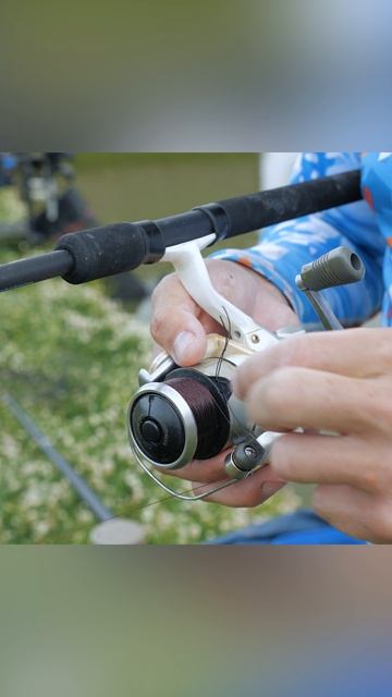 Фидерные тонкости при ловле карпа.