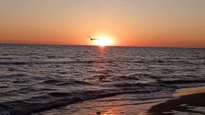 МУЗЫКАЛЬНАЯ МУЗЫКА НА МОРЕ ОТДЫХАЕМ ВЕЧЕРОМ 01