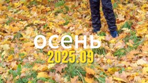 играем и улучшаем игру