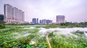 Китай. Город Макао. Болота "Венеции".