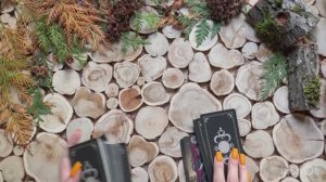 Недавно познакомились! Что ждет? Перспектива?