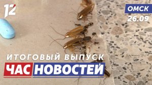 Мыши и тараканы в квартирах / Театральный сезон / Диорама. Новости Омска