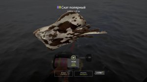 Русская рыбалка 4. Норвежское море. Стрим