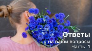 Ответы на вопросы. Часть первая