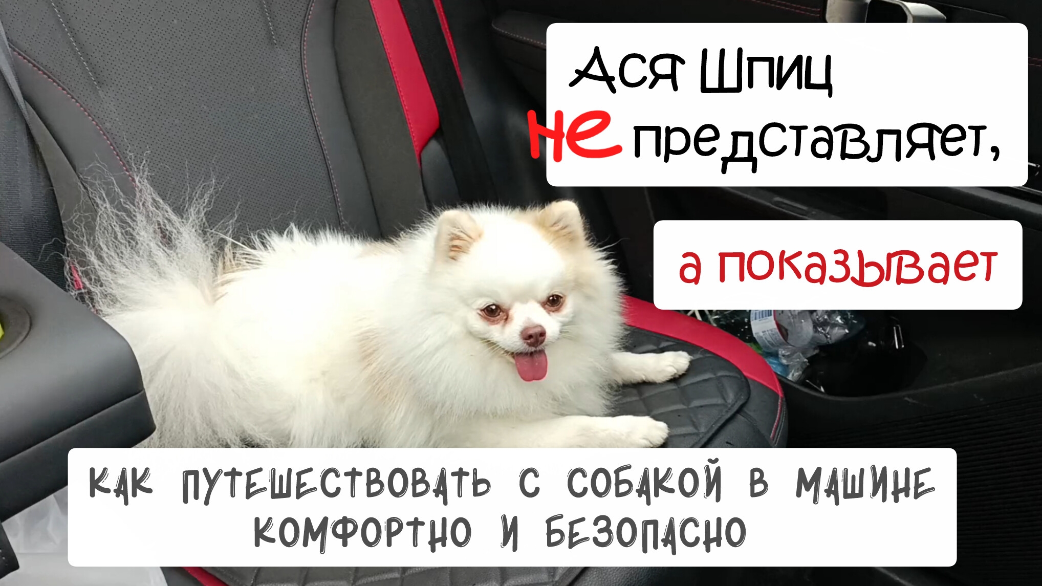 С собакой в машине. Как путешествовать комфортно и безопасно смотреть онлайн
