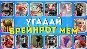 ЭТО САМЫЙ СЛОЖНЫЙ ТЕСТ ПО УГАДАЙ БРЭЙНРОТА / ТЕСТ УГАДАЙ БРЭЙРОТА