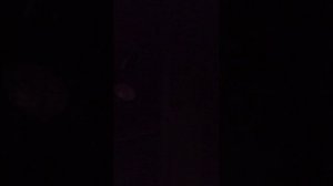 играю в роблокс с подпищиками или без них