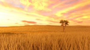 я вернулся (рутюб замедляет скорость видео и качество сории)