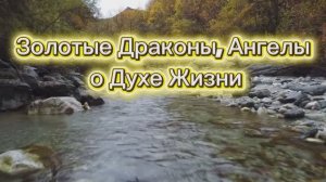 Арктурианцы. Вся ваша жизнь молитва 14.07.2025г    (83 Послание)