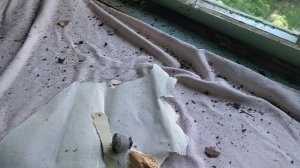 Снаружи закончили, теперь внутри... 😱😱😱