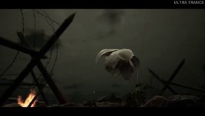 TRANCE) Bloom (Azimov - Let Her Go (Original Mix))