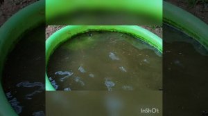 Наша Мойра и купальня. 🖤🖤🖤